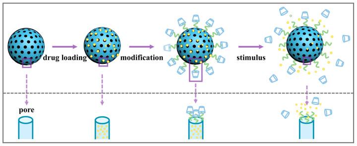 https://cdn.ncbi.nlm.nih.gov/pmc/blobs/6d8d/11434736/b2e4f9d5bd5d/pharmaceutics-16-01214-g005.jpg