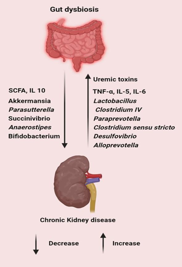 https://cdn.ncbi.nlm.nih.gov/pmc/blobs/6d8d/11493637/10f52759fcd3/fcimb-14-1291148-g005.jpg