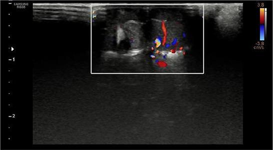 https://cdn.ncbi.nlm.nih.gov/pmc/blobs/6d8e/11093646/6fead67468b0/VETMED-69-04-123107-g003.jpg