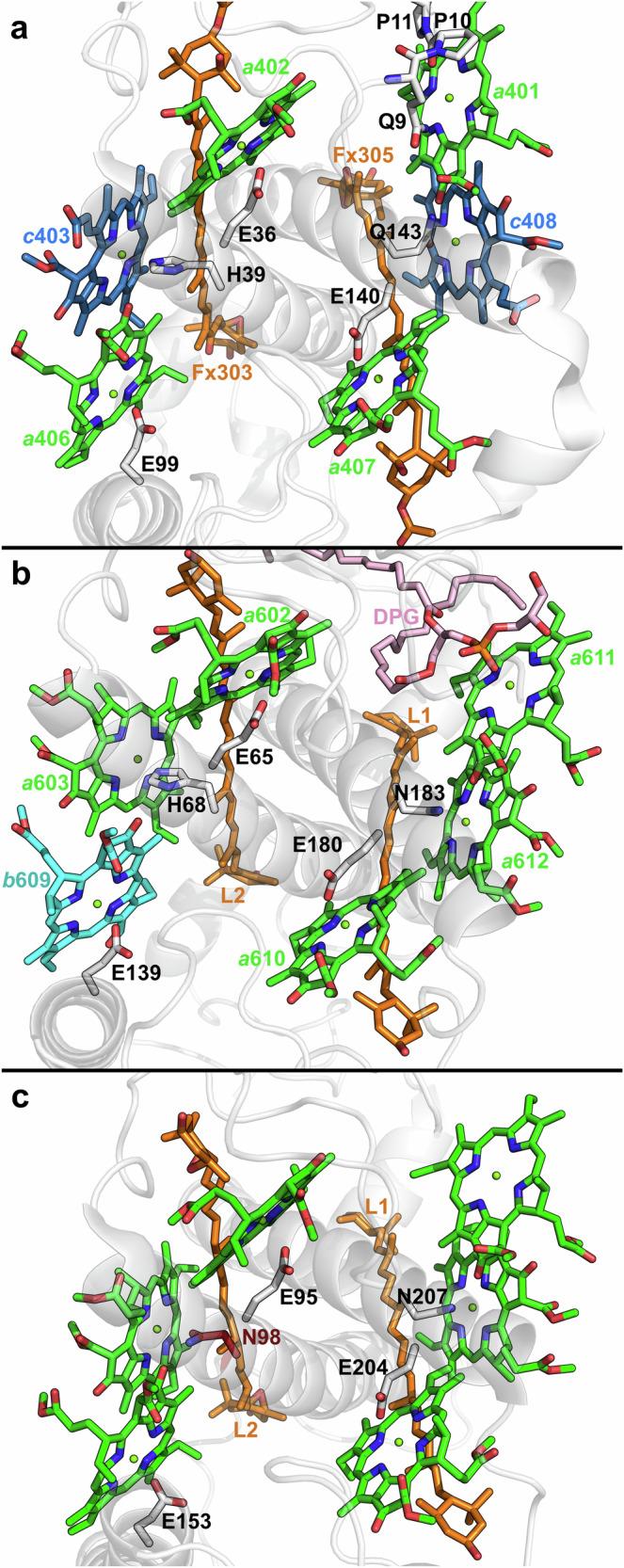 https://cdn.ncbi.nlm.nih.gov/pmc/blobs/6d8e/11522437/c3385b185419/42003_2024_7101_Fig1_HTML.jpg