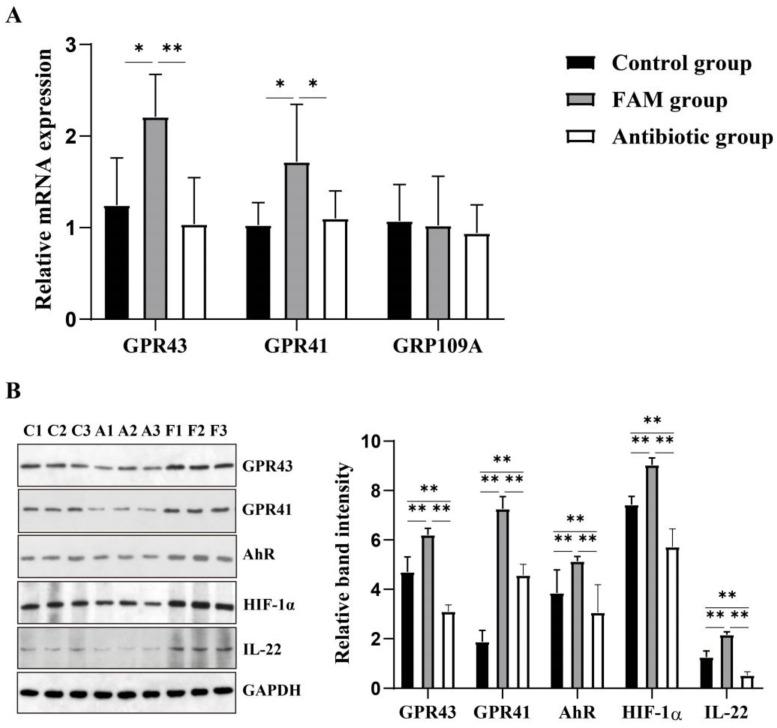 https://cdn.ncbi.nlm.nih.gov/pmc/blobs/6d8f/9657225/324cfca76e02/nutrients-14-04475-g006.jpg