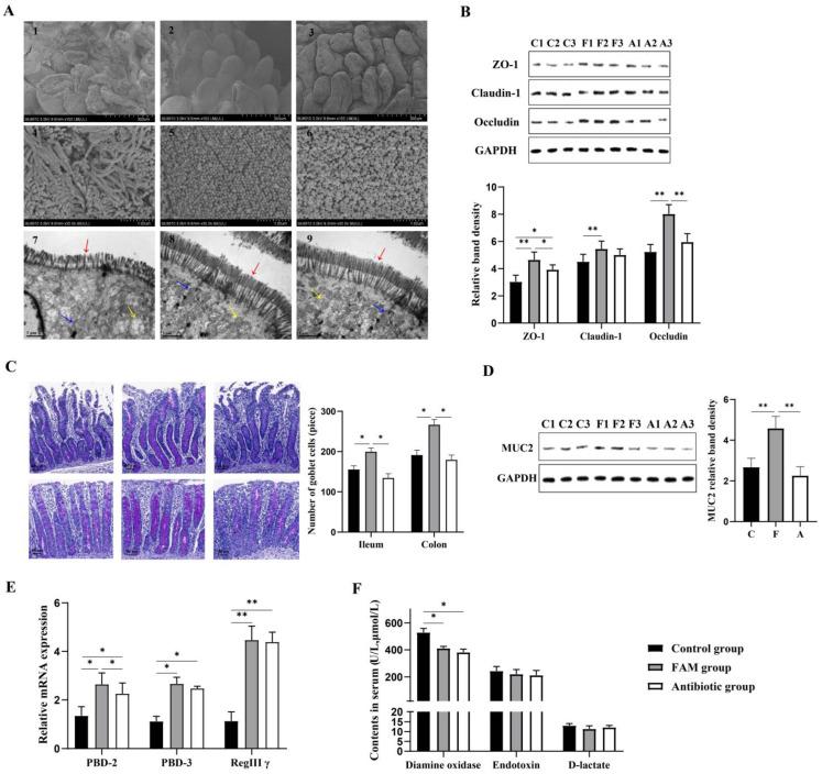 https://cdn.ncbi.nlm.nih.gov/pmc/blobs/6d8f/9657225/3c61fae3dd7f/nutrients-14-04475-g001.jpg