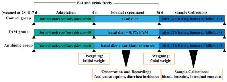 https://cdn.ncbi.nlm.nih.gov/pmc/blobs/6d8f/9657225/932cd9a90e9f/nutrients-14-04475-sch001.jpg