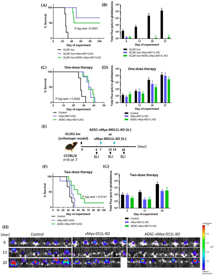 https://cdn.ncbi.nlm.nih.gov/pmc/blobs/6d91/11508294/93a8059c20fb/ijms-25-11225-g005.jpg
