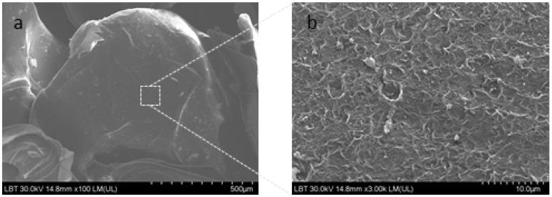 https://cdn.ncbi.nlm.nih.gov/pmc/blobs/6d92/10143816/7a56396f37f8/molecules-28-03305-g001.jpg