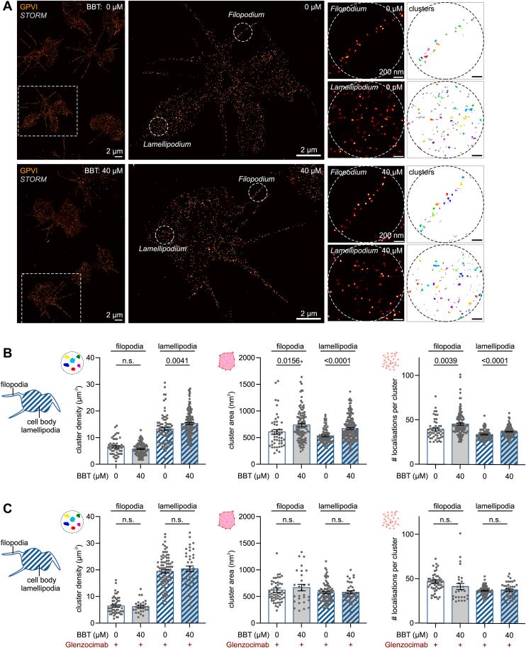 https://cdn.ncbi.nlm.nih.gov/pmc/blobs/6d92/10877441/1374eb04346d/gr5.jpg