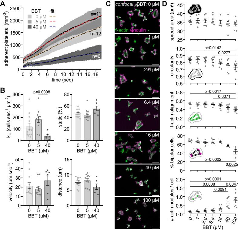 https://cdn.ncbi.nlm.nih.gov/pmc/blobs/6d92/10877441/80081f6514cc/gr3.jpg