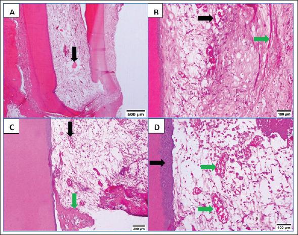 https://cdn.ncbi.nlm.nih.gov/pmc/blobs/6d93/11682749/a18e6f2b92c1/OpenVetJ-14-3004-g002.jpg