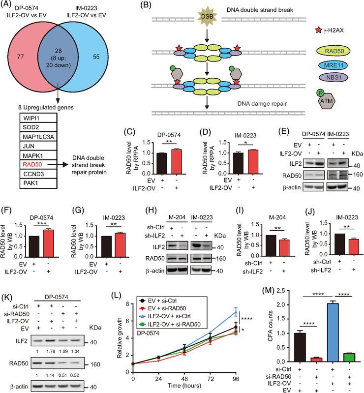 https://cdn.ncbi.nlm.nih.gov/pmc/blobs/6d93/8516365/5f8e8ce88122/CTM2-11-e608-g003.jpg