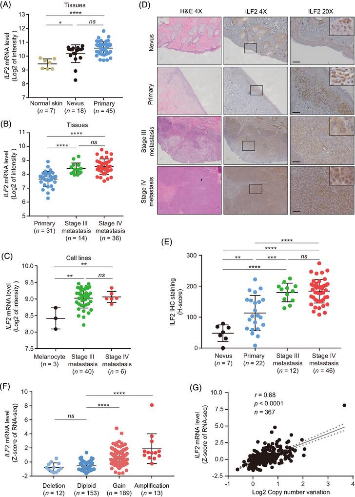 https://cdn.ncbi.nlm.nih.gov/pmc/blobs/6d93/8516365/76f7aceac1c5/CTM2-11-e608-g006.jpg