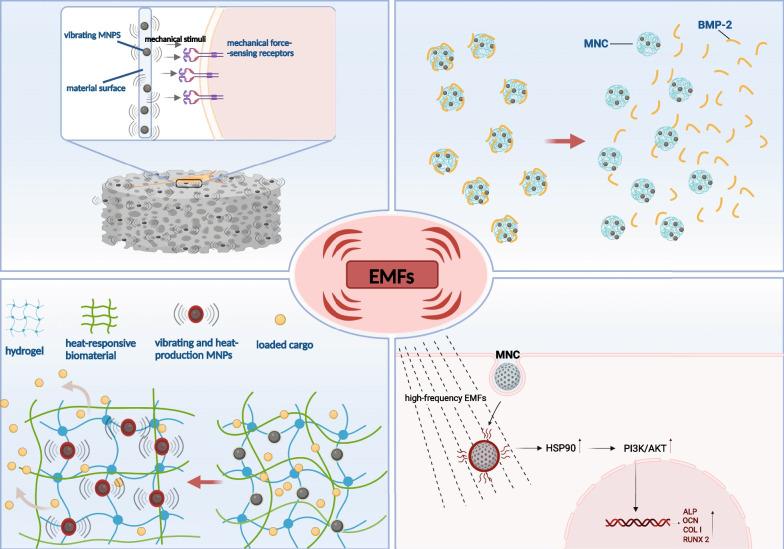 https://cdn.ncbi.nlm.nih.gov/pmc/blobs/6d93/9835389/265239749354/13287_2022_3217_Fig5_HTML.jpg