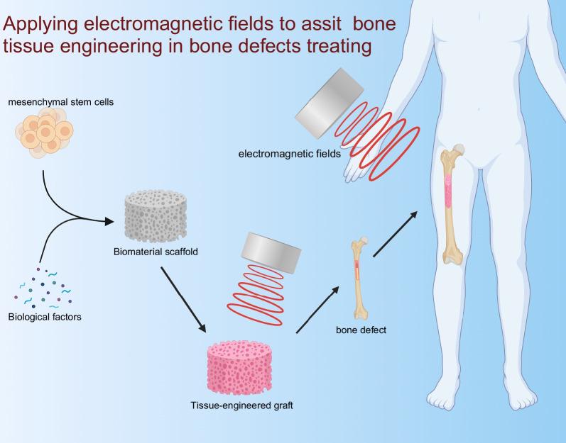 https://cdn.ncbi.nlm.nih.gov/pmc/blobs/6d93/9835389/7aa4d7651739/13287_2022_3217_Fig1_HTML.jpg