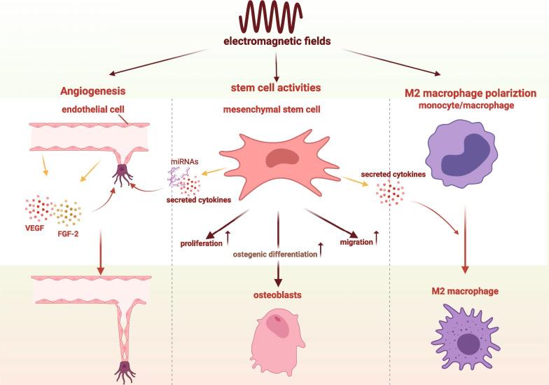 https://cdn.ncbi.nlm.nih.gov/pmc/blobs/6d93/9835389/812647cb2b7d/13287_2022_3217_Fig4_HTML.jpg