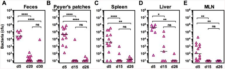 https://cdn.ncbi.nlm.nih.gov/pmc/blobs/6d97/4608741/d29aef1a31e7/pntd.0004162.g002.jpg