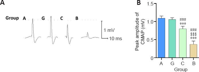 https://cdn.ncbi.nlm.nih.gov/pmc/blobs/6d98/9727441/294e465857ec/NRR-18-657-g004.jpg