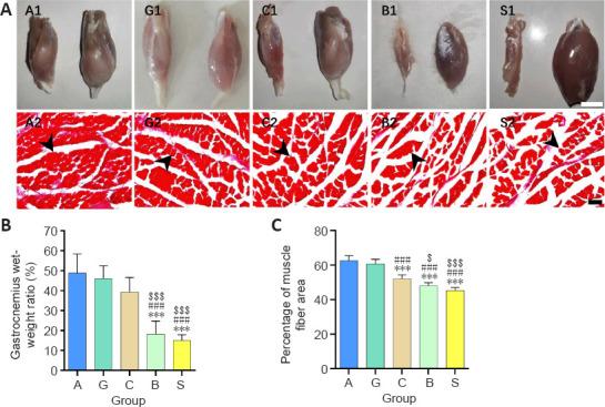 https://cdn.ncbi.nlm.nih.gov/pmc/blobs/6d98/9727441/f170348e865a/NRR-18-657-g009.jpg