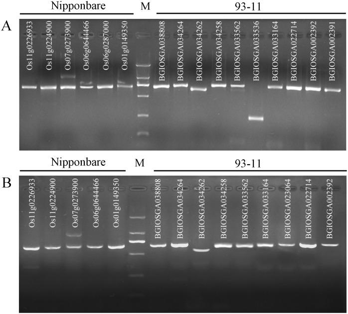 https://cdn.ncbi.nlm.nih.gov/pmc/blobs/6d9e/5507442/13db9a11b094/pone.0180662.g004.jpg