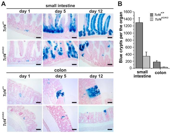 https://cdn.ncbi.nlm.nih.gov/pmc/blobs/6da1/6162433/8a3bfc4208b1/genes-09-00439-g004.jpg