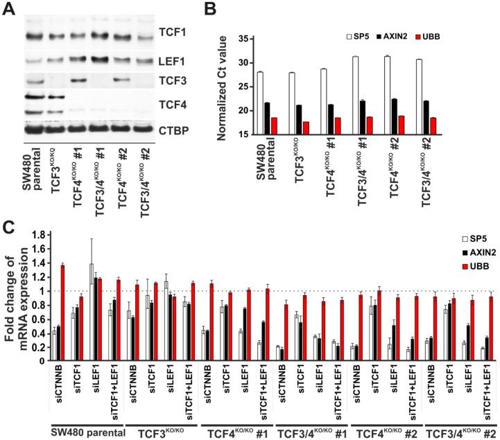 https://cdn.ncbi.nlm.nih.gov/pmc/blobs/6da1/6162433/c20f04929a71/genes-09-00439-g009.jpg