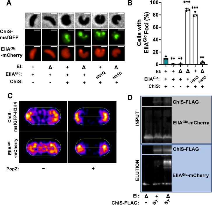 https://cdn.ncbi.nlm.nih.gov/pmc/blobs/6da2/10208484/bb45d0936bba/pgen.1010767.g003.jpg