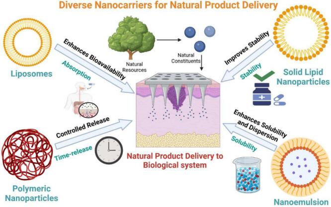 https://cdn.ncbi.nlm.nih.gov/pmc/blobs/6da3/12076289/8ef56663df18/ab5c00004_0003.jpg