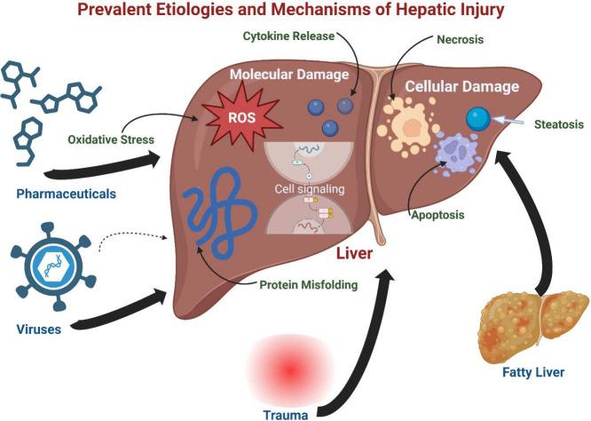 https://cdn.ncbi.nlm.nih.gov/pmc/blobs/6da3/12076289/a03a89479293/ab5c00004_0001.jpg