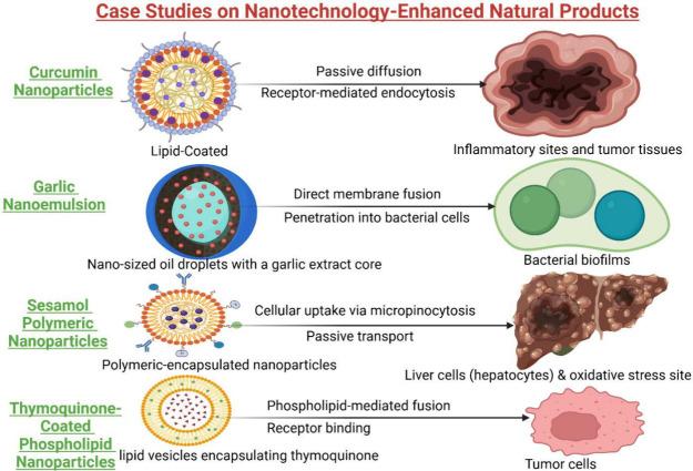 https://cdn.ncbi.nlm.nih.gov/pmc/blobs/6da3/12076289/ecd529372ce2/ab5c00004_0004.jpg