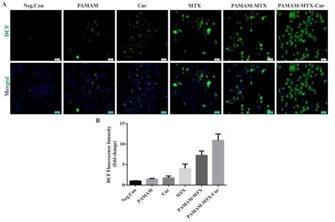 https://cdn.ncbi.nlm.nih.gov/pmc/blobs/6da4/11730290/683cc7b86b13/41598_2024_82074_Fig8_HTML.jpg