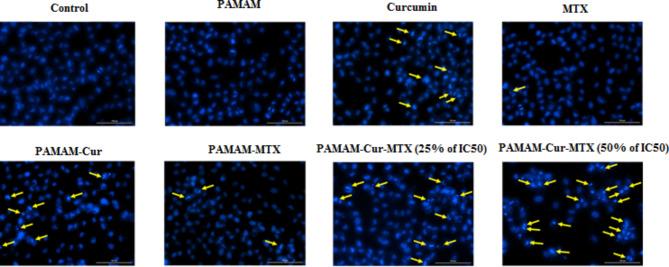 https://cdn.ncbi.nlm.nih.gov/pmc/blobs/6da4/11730290/700aac6099d5/41598_2024_82074_Fig7_HTML.jpg