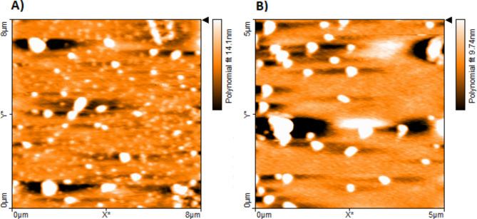 https://cdn.ncbi.nlm.nih.gov/pmc/blobs/6da4/11730290/e67df1758d94/41598_2024_82074_Fig2_HTML.jpg