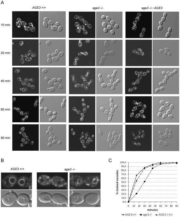 https://cdn.ncbi.nlm.nih.gov/pmc/blobs/6da6/2916835/625a17910e49/pone.0011993.g003.jpg