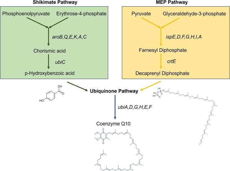 https://cdn.ncbi.nlm.nih.gov/pmc/blobs/6da8/11730080/3653529b8175/kuae052fig3.jpg
