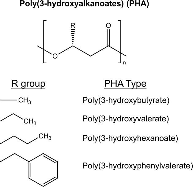 https://cdn.ncbi.nlm.nih.gov/pmc/blobs/6da8/11730080/9905598ca394/kuae052fig2.jpg