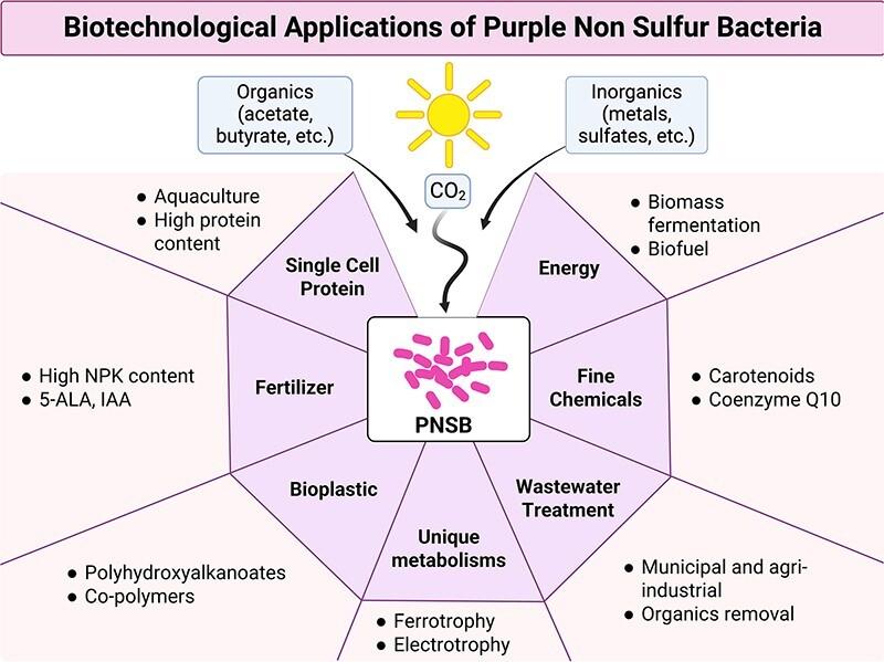https://cdn.ncbi.nlm.nih.gov/pmc/blobs/6da8/11730080/a2070a166560/kuae052fig1a.jpg