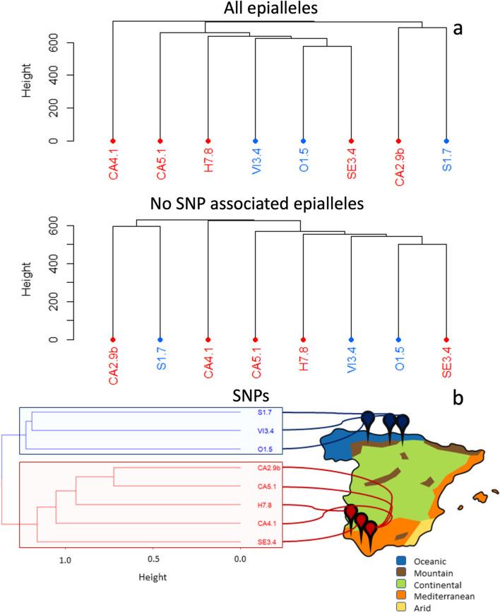 https://cdn.ncbi.nlm.nih.gov/pmc/blobs/6da9/11155169/19b35a9f60d9/12870_2024_5197_Fig3_HTML.jpg