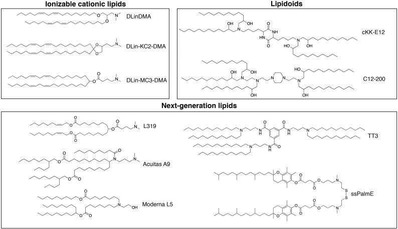 https://cdn.ncbi.nlm.nih.gov/pmc/blobs/6daa/7329694/516fe2b10400/gr3_lrg.jpg