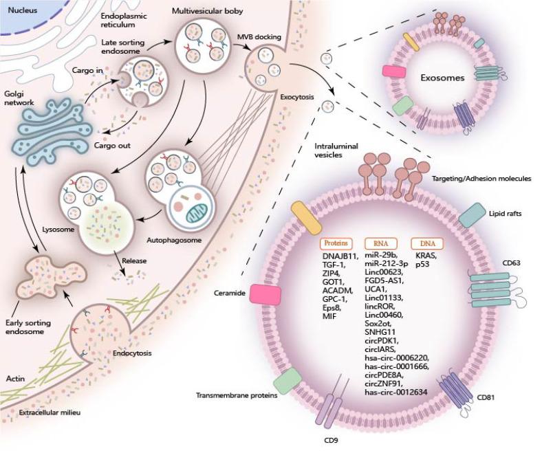 https://cdn.ncbi.nlm.nih.gov/pmc/blobs/6dab/11302877/a524e5ca1fd9/ijbsv20p4098g001.jpg