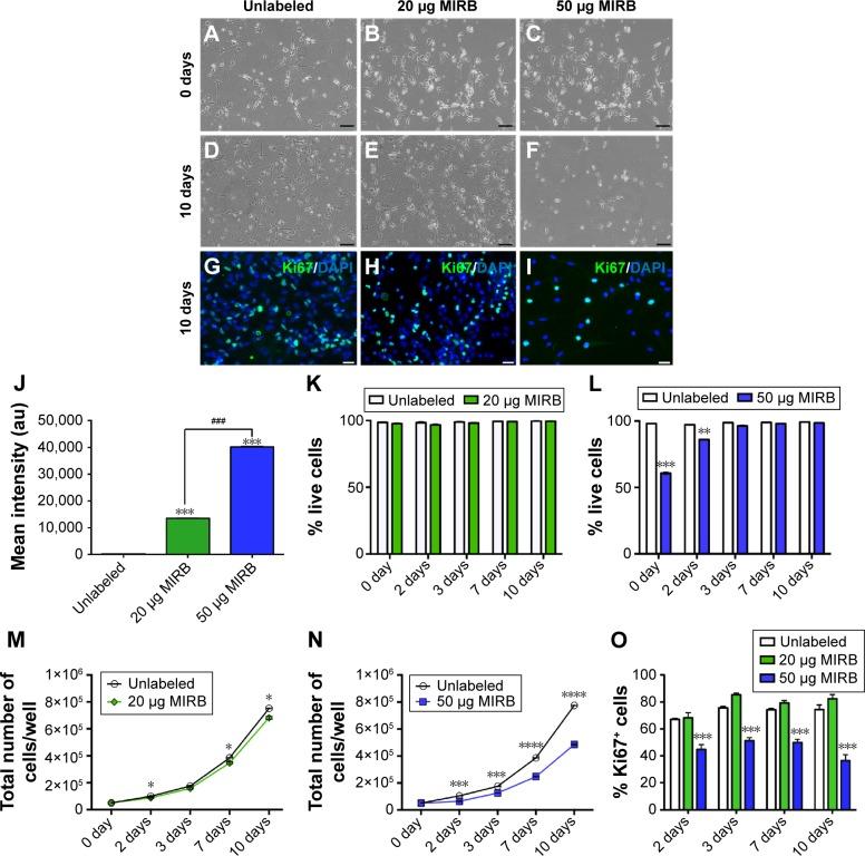 https://cdn.ncbi.nlm.nih.gov/pmc/blobs/6dae/4854246/4156fcf9a2c6/ijn-11-1731Fig2.jpg