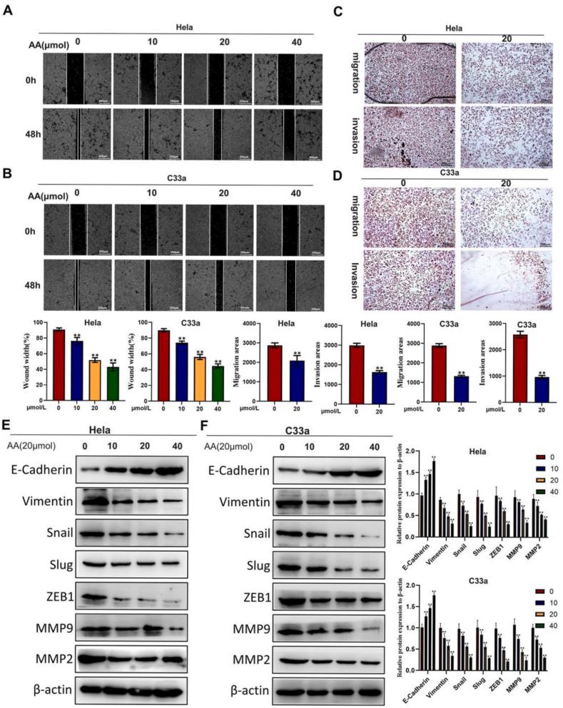https://cdn.ncbi.nlm.nih.gov/pmc/blobs/6db0/11269897/322844909303/gr2.jpg