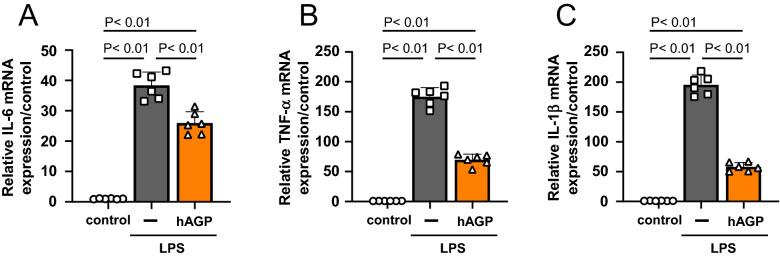 https://cdn.ncbi.nlm.nih.gov/pmc/blobs/6db0/8041882/df0da2b9ba6f/41598_2021_87217_Fig6_HTML.jpg