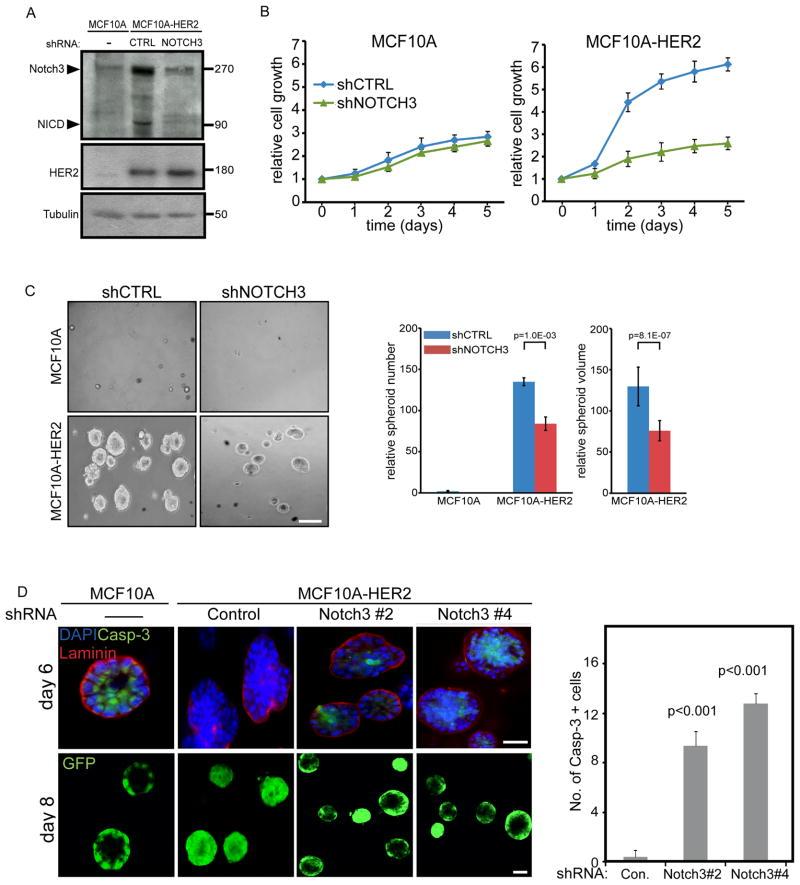 https://cdn.ncbi.nlm.nih.gov/pmc/blobs/6db2/3193899/203df54581eb/nihms300976f3.jpg