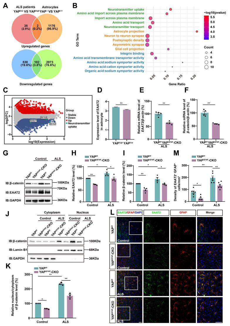 https://cdn.ncbi.nlm.nih.gov/pmc/blobs/6db6/12374586/de599b582f35/thnov15p8176g005.jpg
