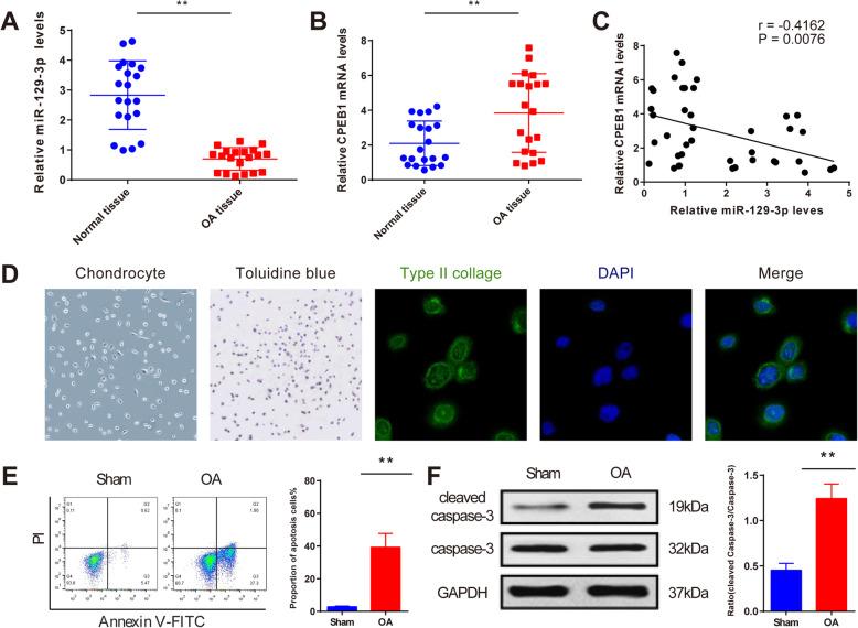 https://cdn.ncbi.nlm.nih.gov/pmc/blobs/6db6/7684967/39ebedb23843/13018_2020_2070_Fig1_HTML.jpg