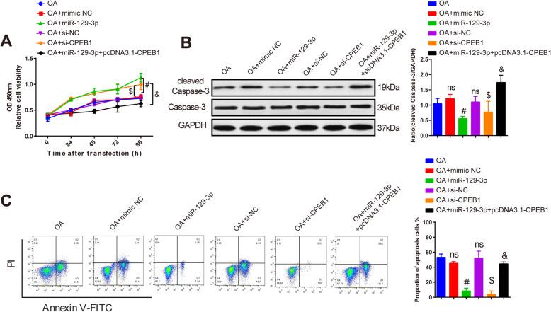 https://cdn.ncbi.nlm.nih.gov/pmc/blobs/6db6/7684967/521b105faf2b/13018_2020_2070_Fig5_HTML.jpg