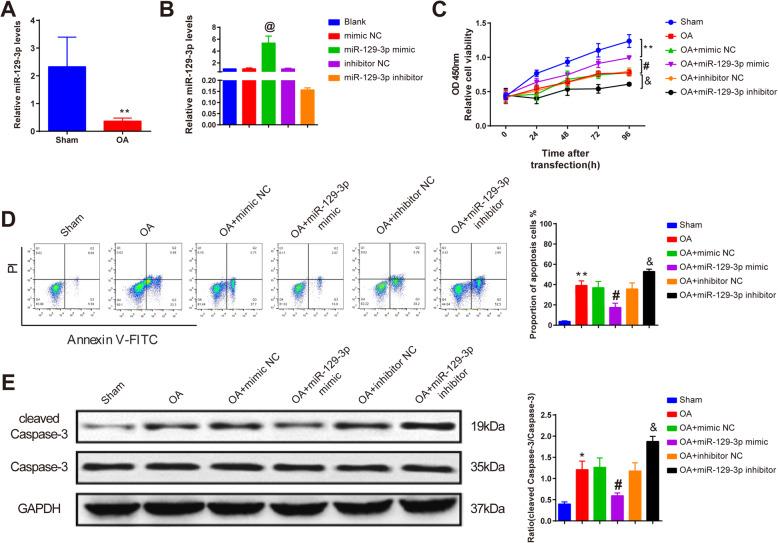 https://cdn.ncbi.nlm.nih.gov/pmc/blobs/6db6/7684967/df90c32d242a/13018_2020_2070_Fig2_HTML.jpg