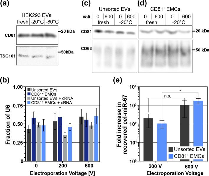 https://cdn.ncbi.nlm.nih.gov/pmc/blobs/6db7/11580418/12db48008dc4/12938_2024_1311_Fig4_HTML.jpg