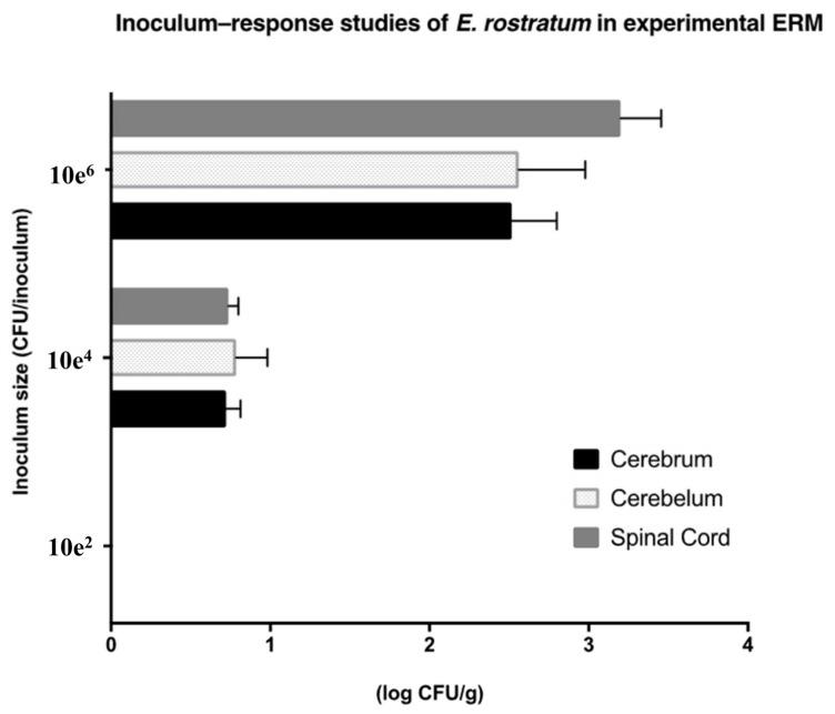 https://cdn.ncbi.nlm.nih.gov/pmc/blobs/6db8/7151063/f99fd7c8eba4/jof-06-00033-g001.jpg
