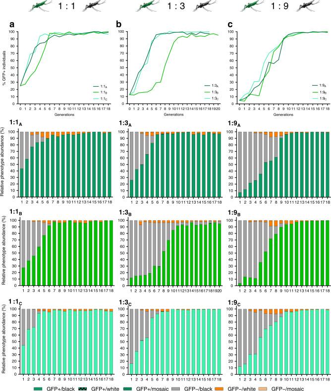 https://cdn.ncbi.nlm.nih.gov/pmc/blobs/6dba/7609566/368d012b14c3/41467_2020_19426_Fig3_HTML.jpg