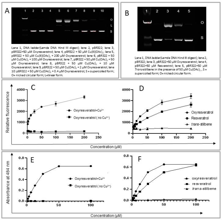 https://cdn.ncbi.nlm.nih.gov/pmc/blobs/6dbc/7321165/f3b0311c294e/molecules-25-02577-g004.jpg
