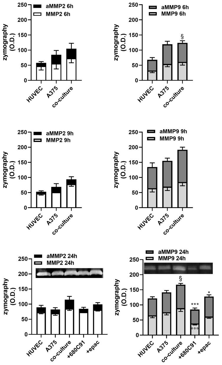 https://cdn.ncbi.nlm.nih.gov/pmc/blobs/6dc0/11124529/0617faa86b30/pharmaceuticals-17-00558-g010.jpg